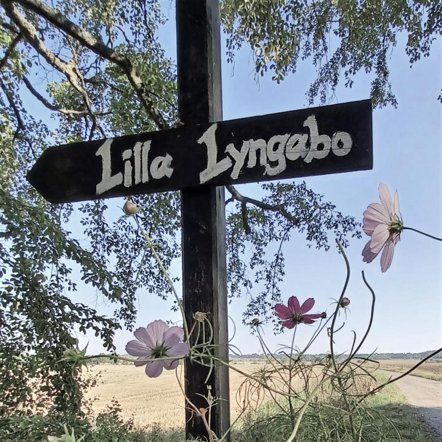 哈尔姆斯塔德 Lilla Lyngabo酒店 外观 照片